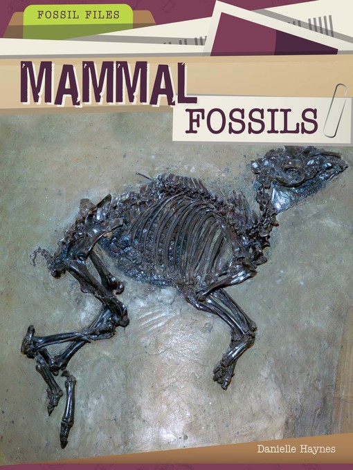 Title details for Mammal Fossils by Danielle Haynes - Available